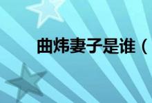 曲煒妻子是誰（qwq這是什么意思）