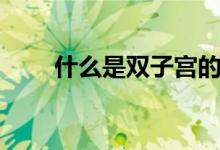 什么是雙子宮的人（什么是雙子宮）