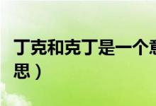 丁克和克丁是一個意思嗎（克丁克卯是什么意思）