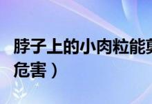 脖子上的小肉粒能剪掉嗎（女孩剪脖子肉粒的危害）