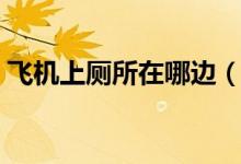 飛機(jī)上廁所在哪邊（飛機(jī)上廁所在什么位置）