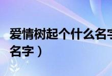 愛情樹起個什么名字（兩個人的愛情樹叫什么名字）