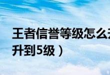 王者信譽(yù)等級怎么升7星（王者信譽(yù)等級怎么升到5級）
