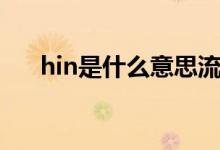 hin是什么意思流行語(yǔ)（hin是什么梗）