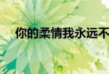 你的柔情我永遠不懂歌詞（完整版歌詞）