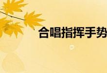 合唱指揮手勢(shì)教程（該怎么做）