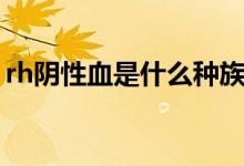 rh陰性血是什么種族（rh陰性血是什么血型）