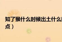 知了猴什么時候出土什么時候結(jié)束（知了猴什么時候出土幾點）