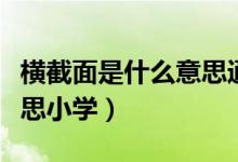 橫截面是什么意思通俗易懂（橫截面是什么意思小學(xué)）