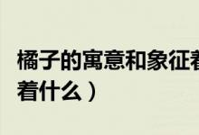 橘子的寓意和象征著什么（橘子的寓意和象征著什么）