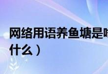 網(wǎng)絡(luò)用語(yǔ)養(yǎng)魚塘是啥意思（網(wǎng)絡(luò)用語(yǔ)養(yǎng)魚塘是什么）