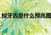 掉牙齒是什么預(yù)兆圖片（掉牙齒是什么預(yù)兆）