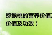 獼猴桃的營養(yǎng)價值及功效（獼猴桃的6個營養(yǎng)價值及功效）