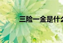 三險一金是什么（三險一金解釋）