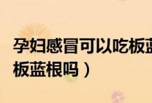 孕婦感冒可以吃板藍(lán)根片嗎（孕婦感冒可以吃板藍(lán)根嗎）