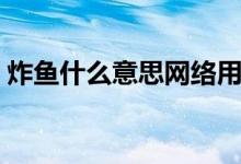 炸魚什么意思網(wǎng)絡(luò)用語(yǔ)（炸魚什么意思網(wǎng)絡(luò)）
