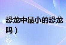 恐龍中最小的恐龍（鼠龍是世界上最小的恐龍嗎）
