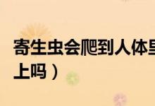 寄生蟲(chóng)會(huì)爬到人體里面嗎（跳蟲(chóng)會(huì)寄生在人身上嗎）