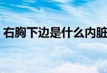 右胸下邊是什么內(nèi)臟（右胸下邊是什么器官）