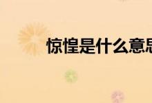 驚惶是什么意思（驚惶怎樣解釋）