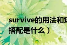 survive的用法和短語(yǔ)（survive用法及短語(yǔ)搭配是什么）