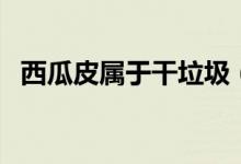 西瓜皮屬于干垃圾（西瓜皮屬于干垃圾嗎）