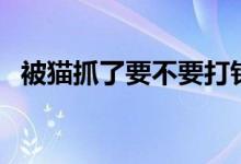被貓抓了要不要打針（被貓抓了要打針嗎）
