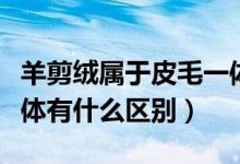 羊剪絨屬于皮毛一體嗎（羊剪絨大衣與皮毛一體有什么區(qū)別）