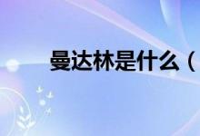 曼達林是什么（曼達林是什么意思）