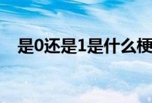 是0還是1是什么梗（1和0分別是什么梗）