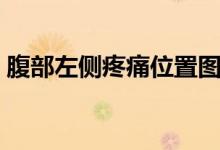腹部左側(cè)疼痛位置圖（腹部左側(cè)疼痛的原因）