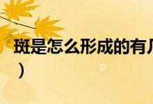 斑是怎么形成的有幾種原因（斑是怎么形成的）