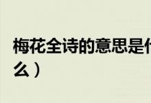 梅花全詩的意思是什么（梅花全詩的意思是什么）