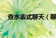 查水表式聊天（聊天說查水表什么意思）