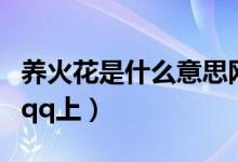 養(yǎng)火花是什么意思網(wǎng)絡(luò)語（養(yǎng)火花是什么意思qq上）