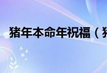 豬年本命年祝福（豬年本命年祝福的話語(yǔ)）
