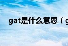 gat是什么意思（gat到了嗎是什么意思）