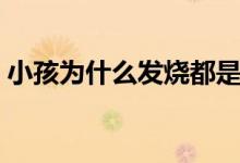 小孩為什么發(fā)燒都是晩上（小孩為什么發(fā)燒）
