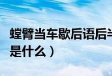 螳臂當車歇后語后半部分（螳臂當車的歇后語是什么）