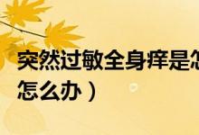 突然過敏全身癢是怎么回事（突然過敏全身癢怎么辦）