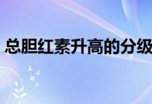 總膽紅素升高的分級(jí)（總膽紅素升高的危害）