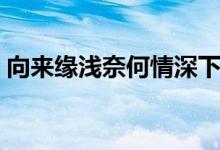 向來緣淺奈何情深下句（向來緣淺奈何情深）