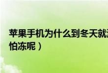 蘋果手機為什么到冬天就沒電了（蘋果手機為什么到冬天就怕凍呢）
