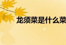 龍須菜是什么菜（龍須菜是什么菜）