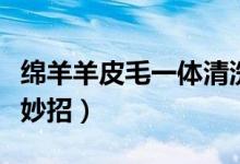 綿羊羊皮毛一體清洗妙招（羊羔皮毛一體清洗妙招）