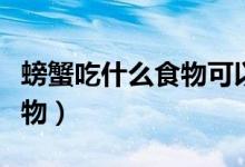 螃蟹吃什么食物可以養(yǎng)活（家養(yǎng)螃蟹吃什么食物）