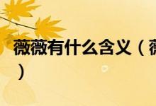 薇薇有什么含義（薇的意思和含義是什么意思）