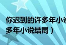 你遲到的許多年小說(shuō)結(jié)局是什么（你遲到的許多年小說(shuō)結(jié)局）