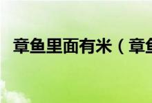 章魚里面有米（章魚里的大米是怎么回事）