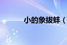 小的象拔蚌（象牙蚌長什么樣）